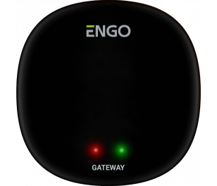Engo interneta vārtejas, EGATEZB