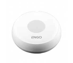 Engo plūdu sensors, ELS