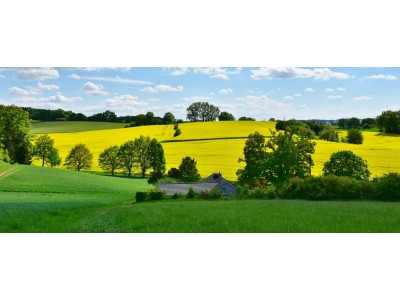 Vidēja gaisa temperatūra Latvija